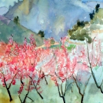 Almond Trees in Blossom I