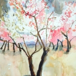 Almond Trees in Blossom II